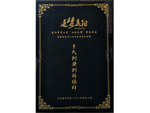 十大創(chuàng)業(yè)創(chuàng)新項目